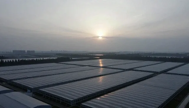 信息匹配中的常见误区及正确使用建议